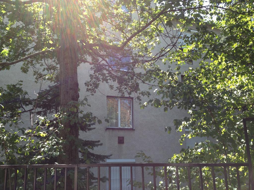 Platan Apartman Budapest Zimmer foto